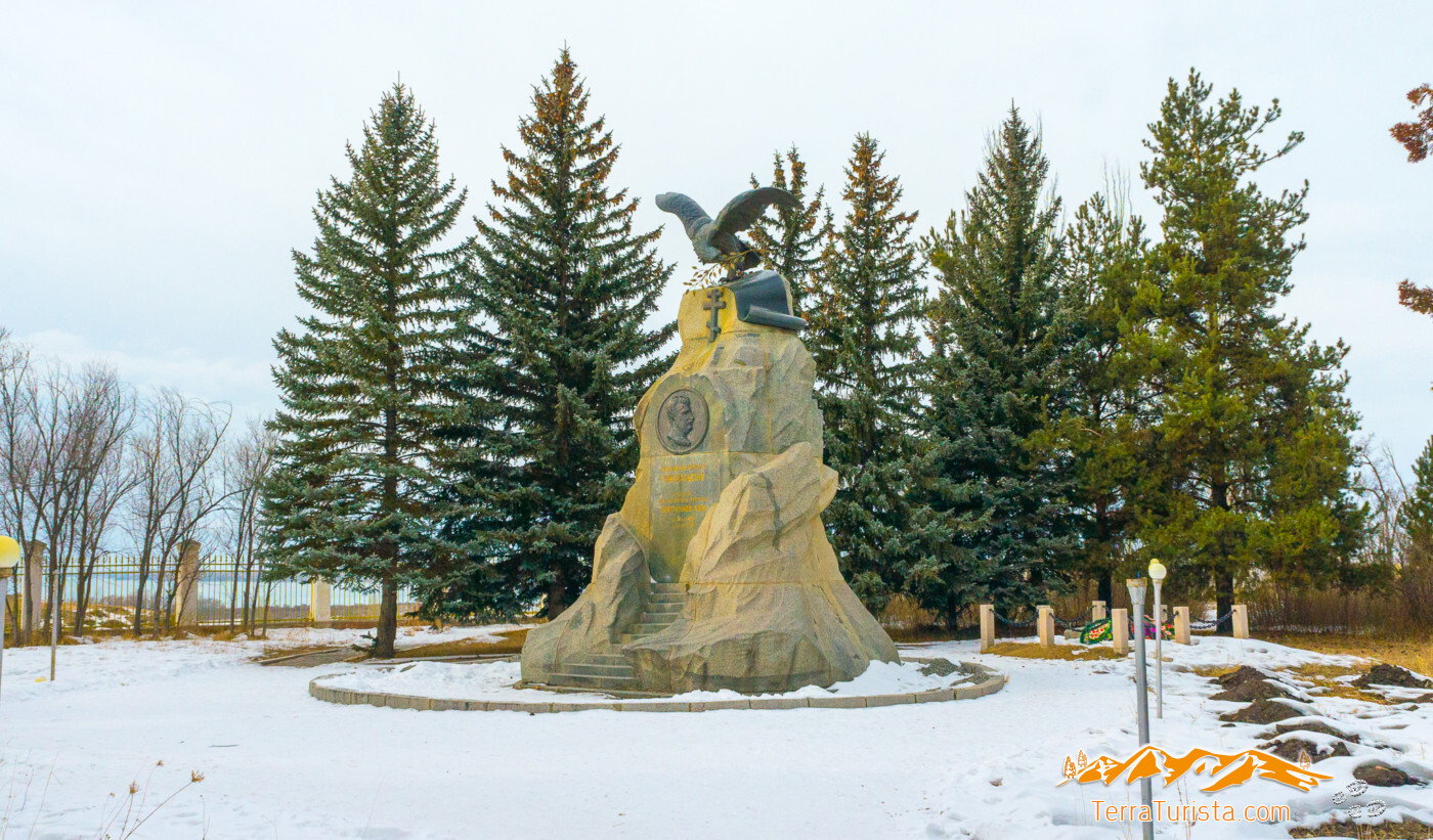 Куст пржевальского фото